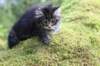 xon75weeks11920235_small.jpg
