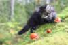 xon75weeks11920237_small.jpg