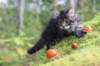 xon75weeks11920239_small.jpg
