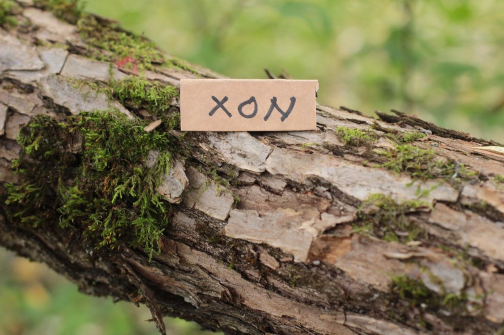 xon95weeks279231.jpg