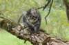 xon95weeks2792310_small.jpg