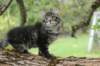 xon95weeks2792312_small.jpg