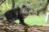 xon95weeks2792315_small.jpg