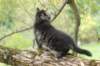 xon95weeks2792317_small.jpg