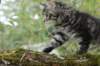 xon95weeks2792324_small.jpg