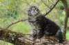 xon95weeks279233_small.jpg
