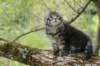 xon95weeks279234_small.jpg
