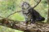 xon95weeks279235_small.jpg