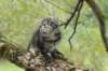 xon95weeks279236_small.jpg