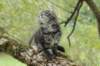 xon95weeks279237_small.jpg