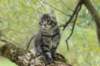 xon95weeks279239_small.jpg