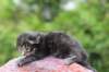 xonboy2weeks38202313_small.jpg