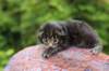 xonboy2weeks38202314_small.jpg
