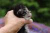 xonboy2weeks38202318_small.jpg