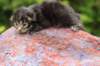 xonboy2weeks38202320_small.jpg