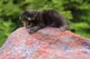 xonboy2weeks3820232_small.jpg