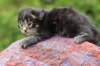 xonboy2weeks3820235_small.jpg