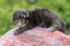 xonboy2weeks3820237_small.jpg
