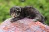 xonboy2weeks3820238_small.jpg