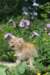 yaffa85viikkoa29615_small.jpg