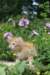 yaffa85viikkoa29616_small.jpg