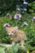 yaffa85viikkoa29618_small.jpg