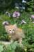 yaffa85viikkoa29619_small.jpg