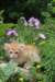 yaffa85viikkoa2961_small.jpg