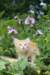yaffa85viikkoa29626_small.jpg