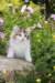 yakira85viikkoa2961_small.jpg