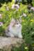 yakira85viikkoa29649_small.jpg
