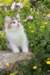 yakira85viikkoa2964_small.jpg