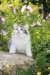 yakira85viikkoa29650_small.jpg