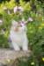 yakira85viikkoa2965_small.jpg