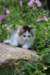yanis85viikkoa29610_small.jpg