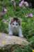 yanis85viikkoa29611_small.jpg