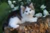 yanisboy65weeks16511_small.jpg