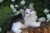 yanisboy65weeks1657_small.jpg
