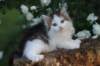 yanisboy65weeks1658_small.jpg