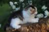 yanisboy65weeks1659_small.jpg