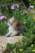yemima85viikkoa29620_small.jpg