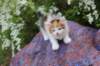 yessicagirl45weeks2619_small.jpg