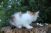 yessicagirl65weeks16611_small.jpg