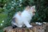 yessicagirl65weeks16612_small.jpg