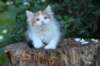 yessicagirl65weeks16614_small.jpg