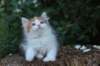yessicagirl65weeks16615_small.jpg