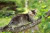 yonas85viikkoa2962_small.jpg
