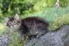yonas85viikkoa2968_small.jpg