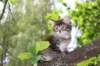 yonasboy65weeks17623_small.jpg