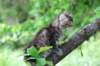 yonasboy65weeks17627_small.jpg